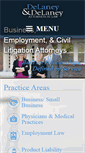 Mobile Screenshot of delaneylaw.net